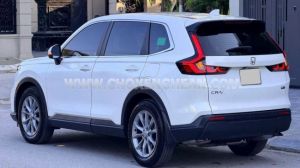Xe Honda CRV L 2024