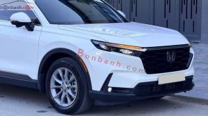 Xe Honda CRV L 2024